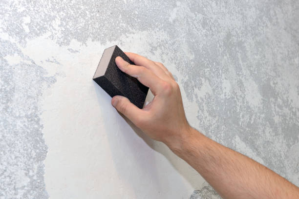 Biohazard Mold Removal in Paramus, NJ