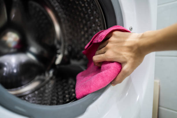 Professional Mold Removal in Paramus, NJ