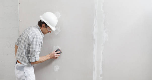  Paramus, NJ Mold Removal Pros