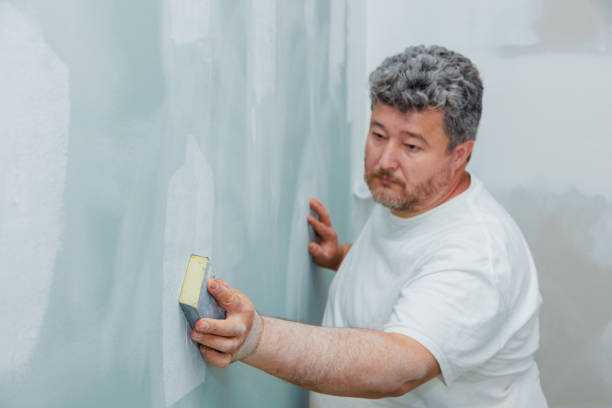 Best Post-Construction Mold Inspection  in Paramus, NJ