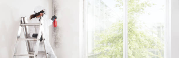 Mold Documentation for Insurance Claims in Paramus, NJ