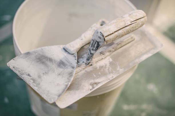 Best Basement Mold Removal  in Paramus, NJ